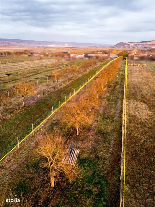 RECO Teren intravilan pentru loc de casa 5342 mp-  sat.Hotar