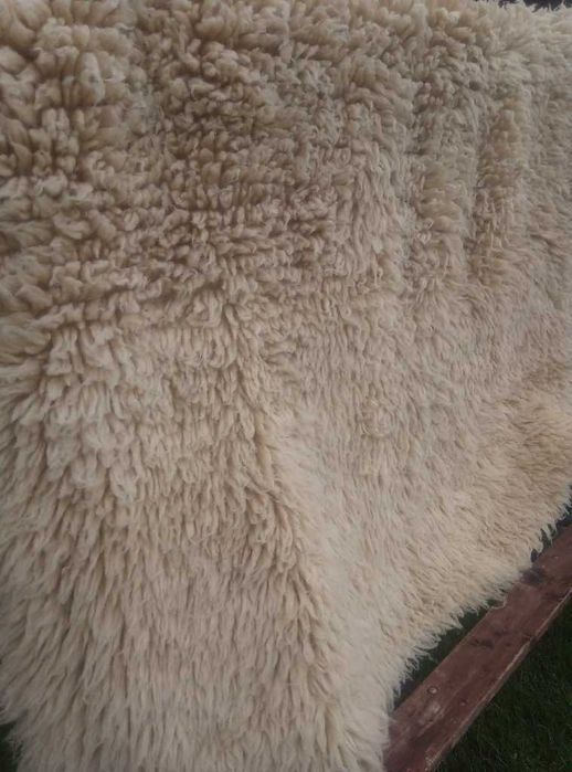 Китеник, халище, губер