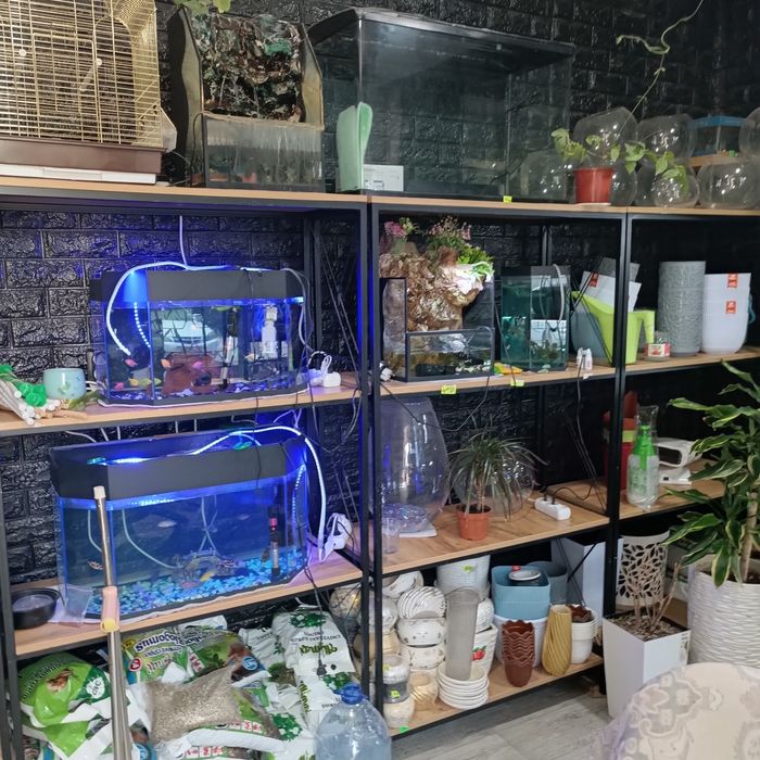 Продается готовый бизнес, действующий магазинчик ,Zoo Aqwa Flowers