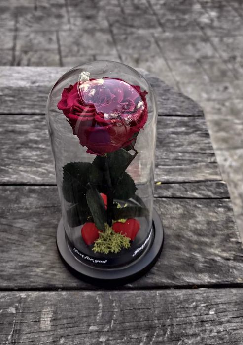 Trandafir criogenat !