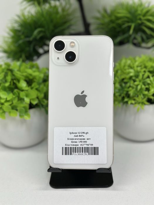 Iphone 13 256 gb