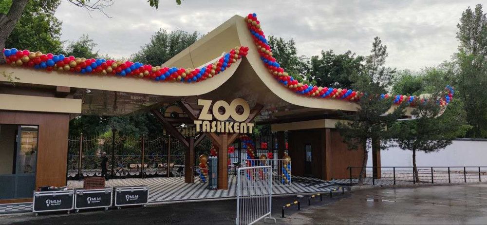 ОФОРМЛЕНИЕ ШАРАМИ - свадьба,выписка, день рождения, фотозона.