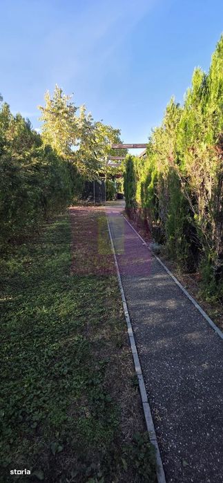 Vila cu 5 camere de închiriat în Câmpina