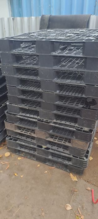 Продам поддоны пластиковые