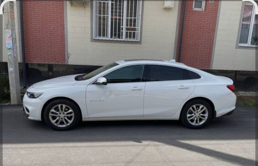 Malubu vikupga beriladi