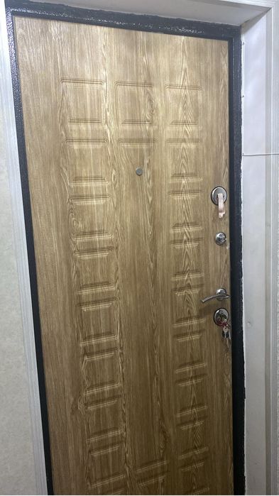 Одна металлическая входная дверь + Межкомнатные двери