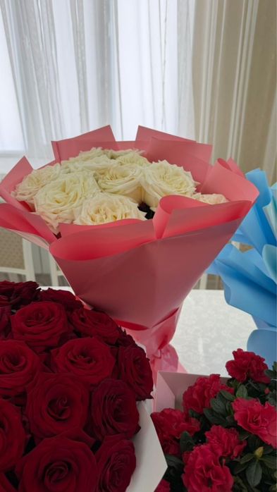 Продаю цветы свежые цены разные