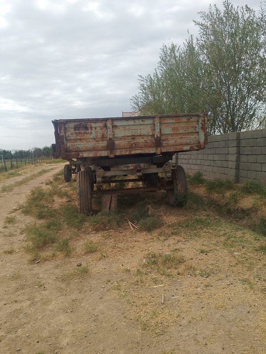 Tilichkani Holati zõr  aybi yõq