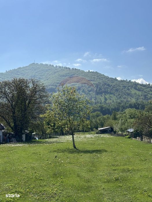 Teren Pangarati / DN Pangarati