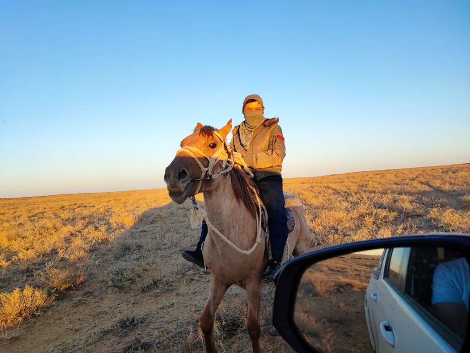 Мінгі Ат сатылады