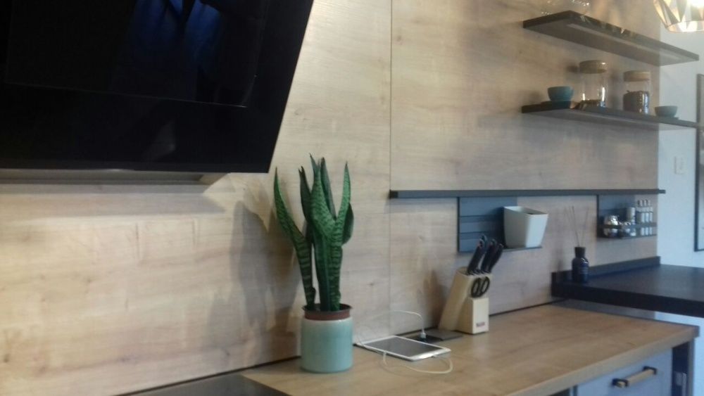 Flori/plante interior/ decoratiuni (casa/apartament)