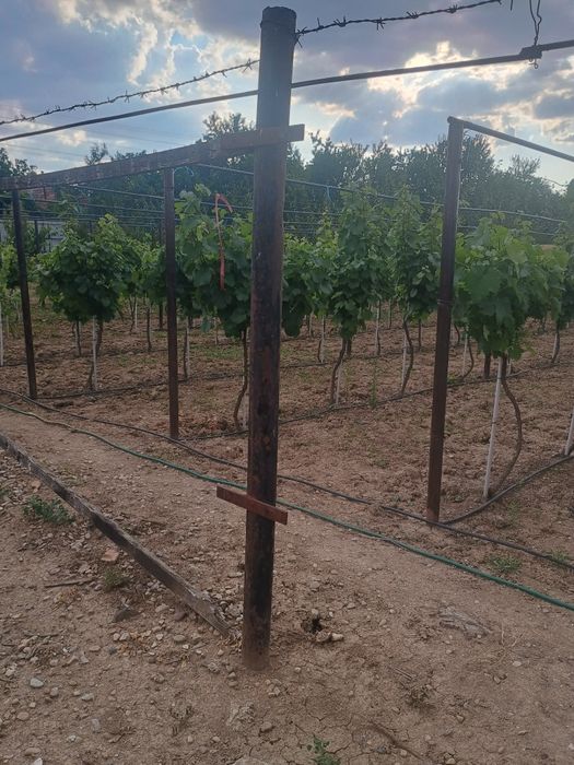 Țeavă pentru construcții.