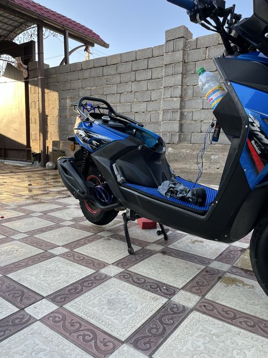 Самурай беннали 180куб