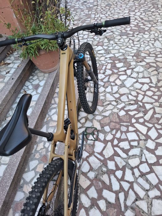 Transition Sentinel Carbon