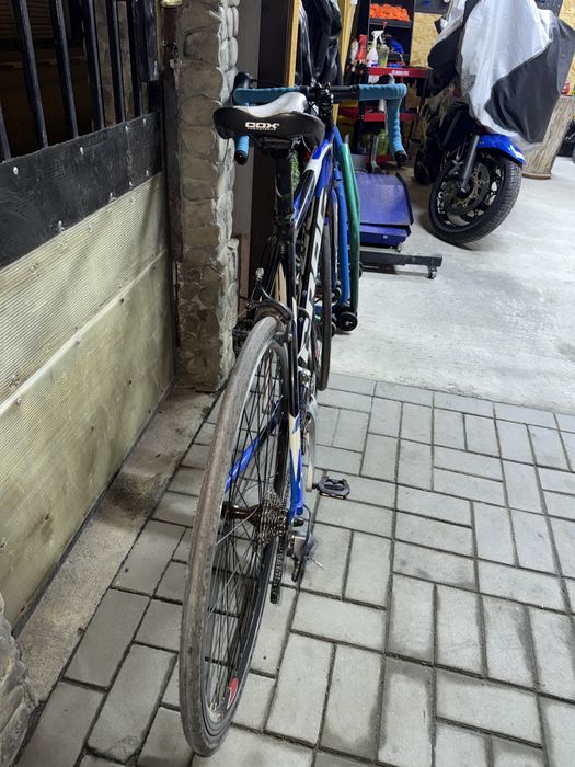 Cursiera Drag master