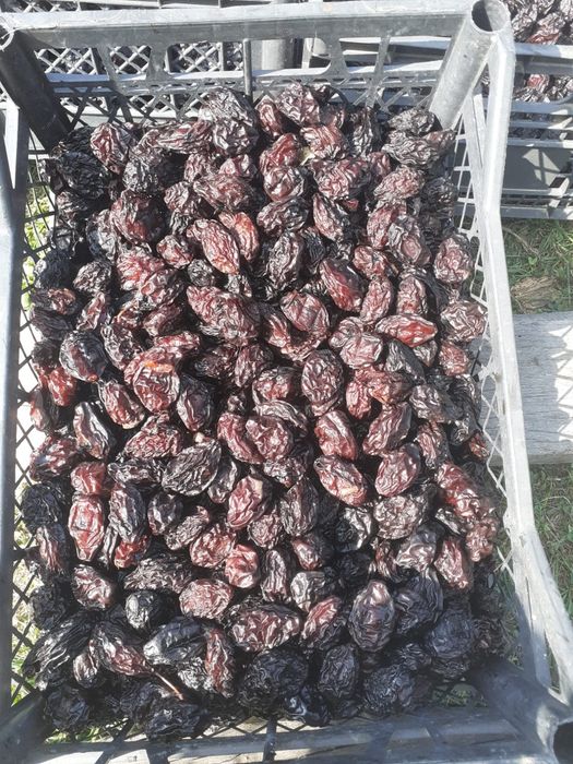 Prune Uscate larjan fară fum producțe proprie  2026