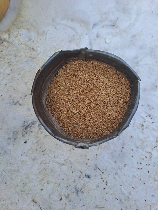 Корма  для сельхозживотных