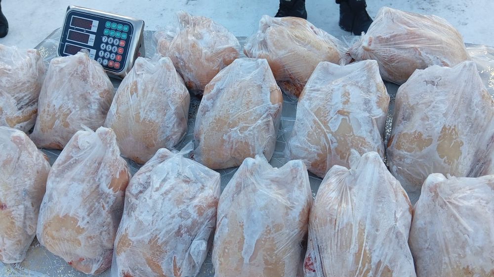 Броилер домашний.