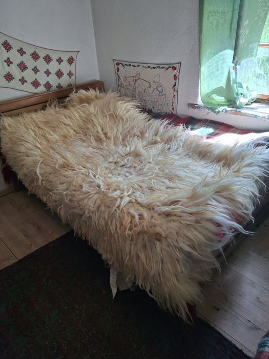Родопски китеник/халище