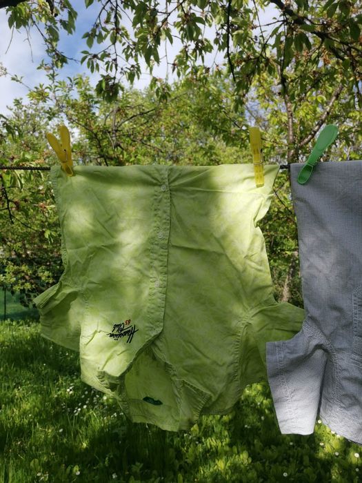 Лот Момчешки ризки къс ръкав