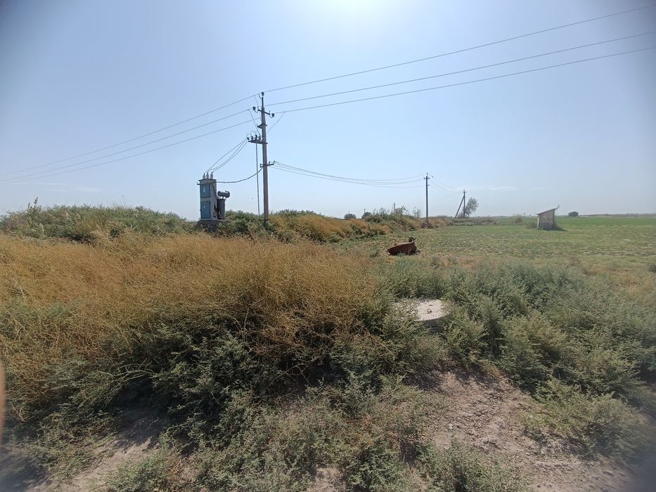 Yer sotiladi Surhondaryo viloyati Sherobod tumanida