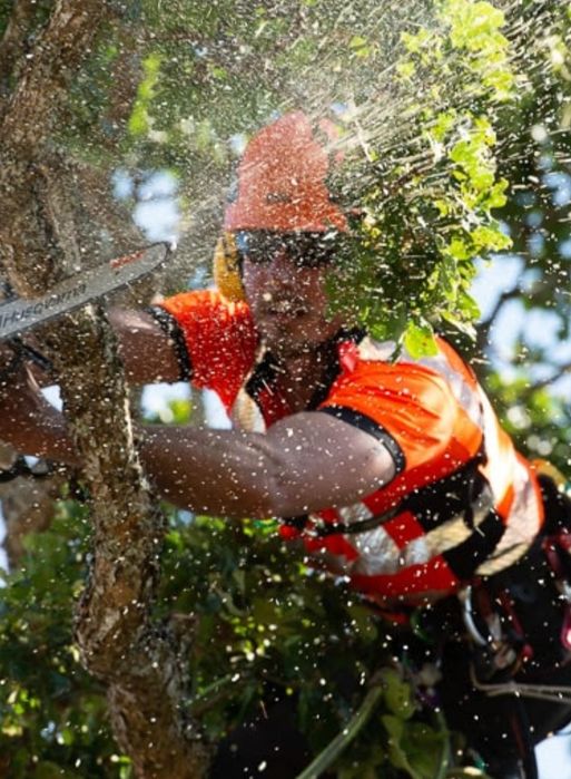 Косене на тревни площи/ Рязане на дървета