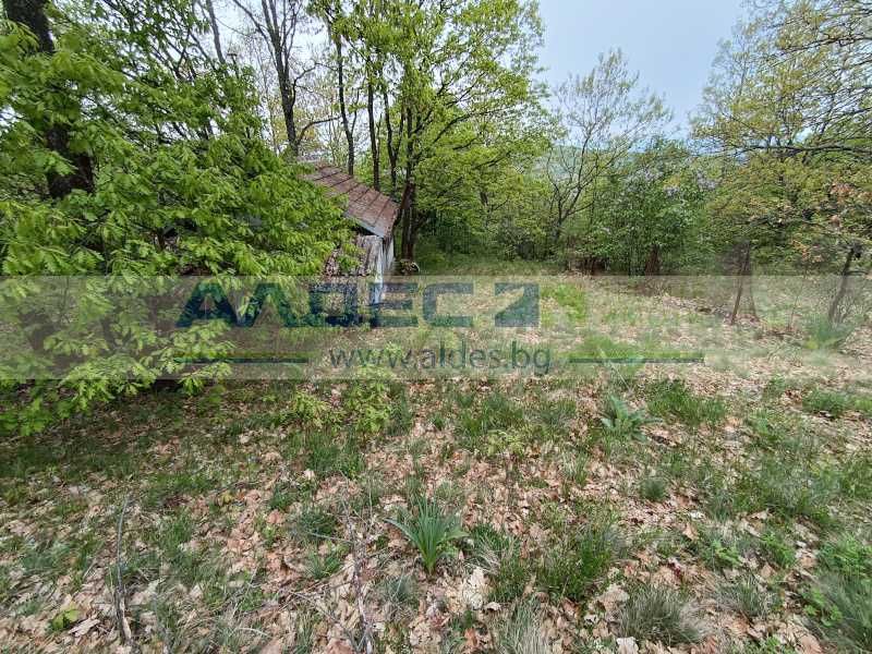 Продава се Парцел в с. Царичина, Област София-област - 1003 кв.м за 30 €/кв.м - Снимка #8