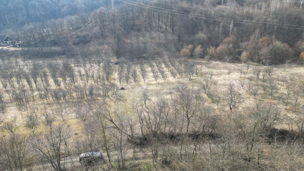 Teren intravilan Valea Cenchi constructii case pensiune caransebes