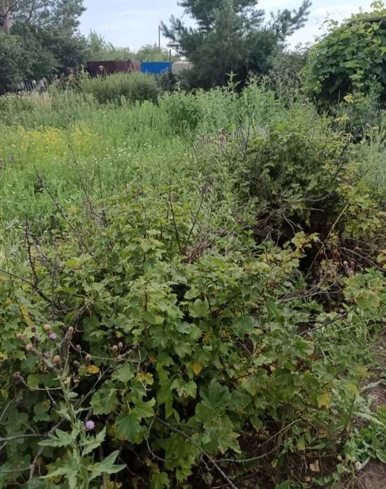 Продажа дачи СО Дархан