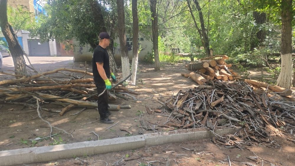 Спил деревьев, санитарный подрезка деревьев