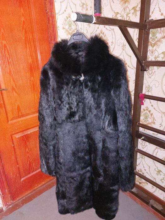 Aliysa shubi qoyan juni