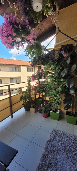 Persoana fizica vând apartament 2 camere strada Florilor