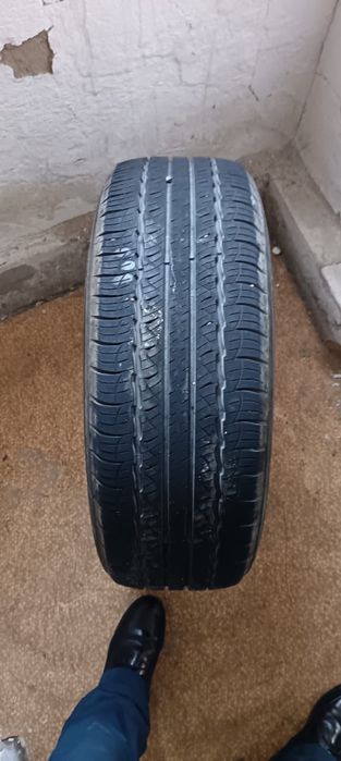 Срочно продам шины