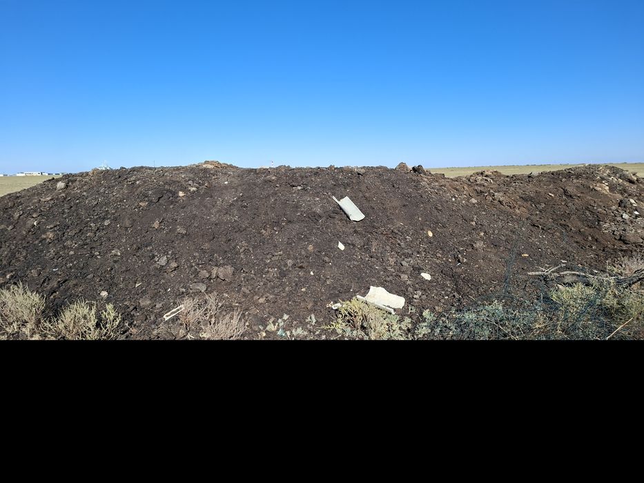 Науоз  қойдың  көңі