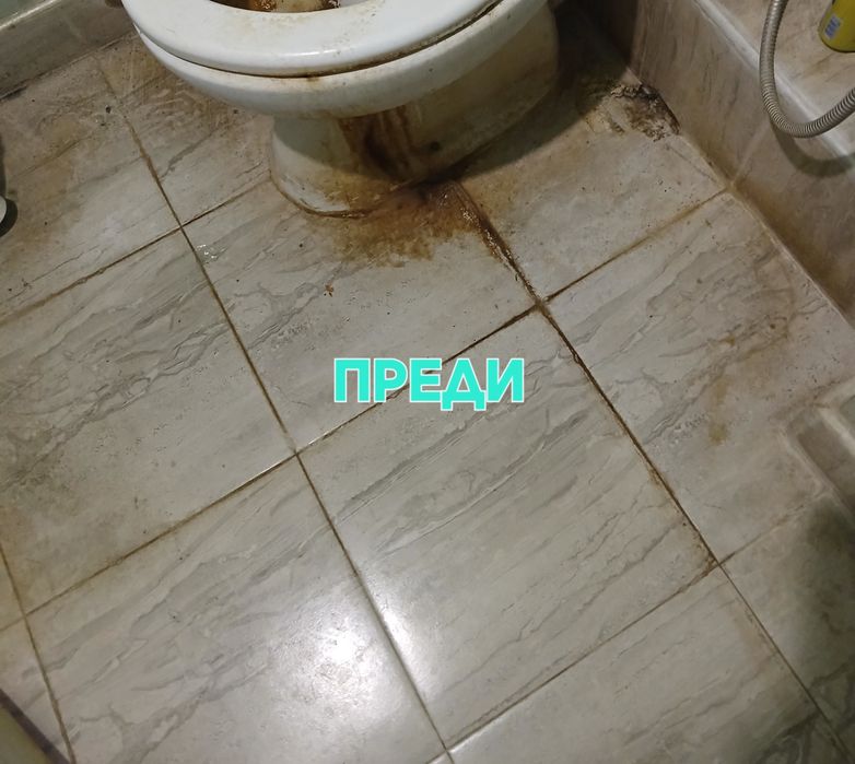 Професионално ПОЧИСТВАНЕ на жилища,офиси и МПС-та
