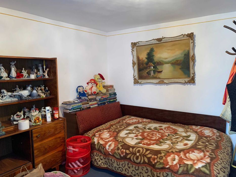 casa de vanzare plesoiu olt