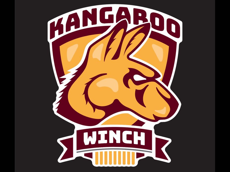 Kit instalatie electrica pentru troliu 8000lb-17000lb Dominator 12V