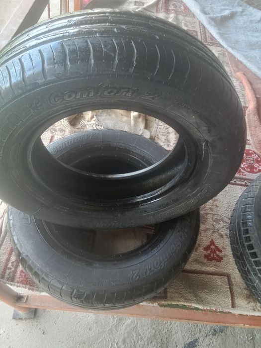 Балон екеуы летни екеуы зимни