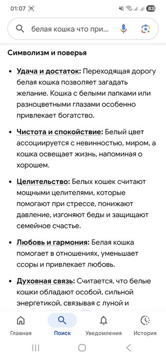 Белая кошка бесплатно