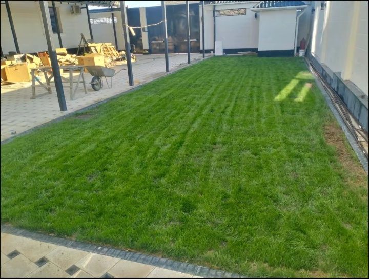 Автополив газон ландшафтный дизайн