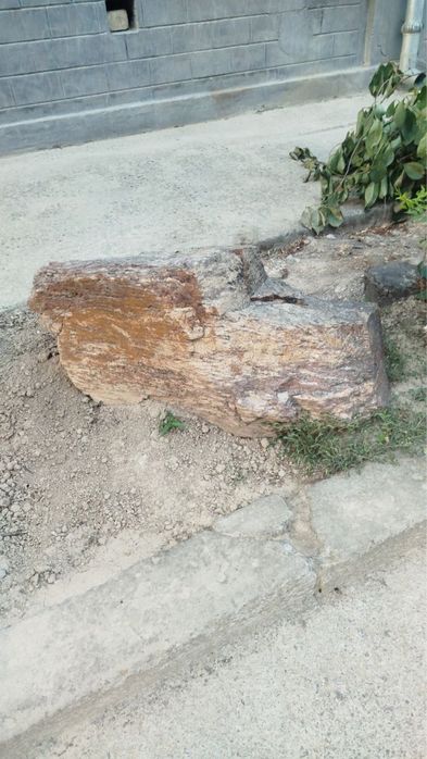 Dekorativ toshlar tekinga