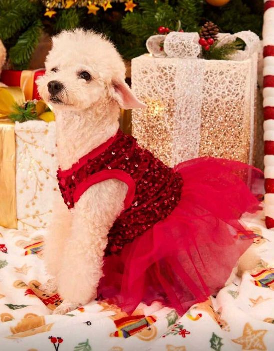 Коледна парти рокля за домашен любимец