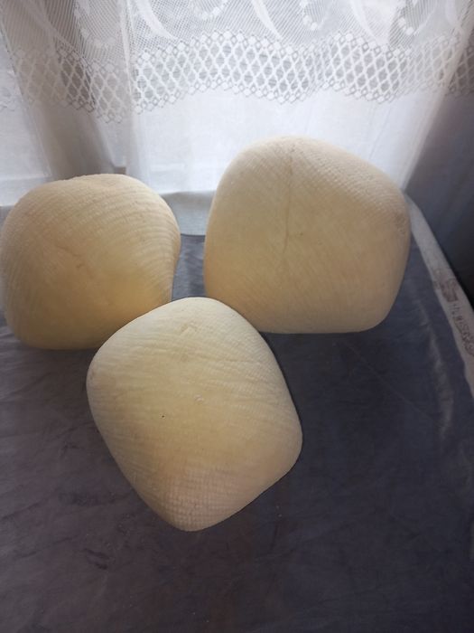 Cas de vaca cu cheag  lapte natural