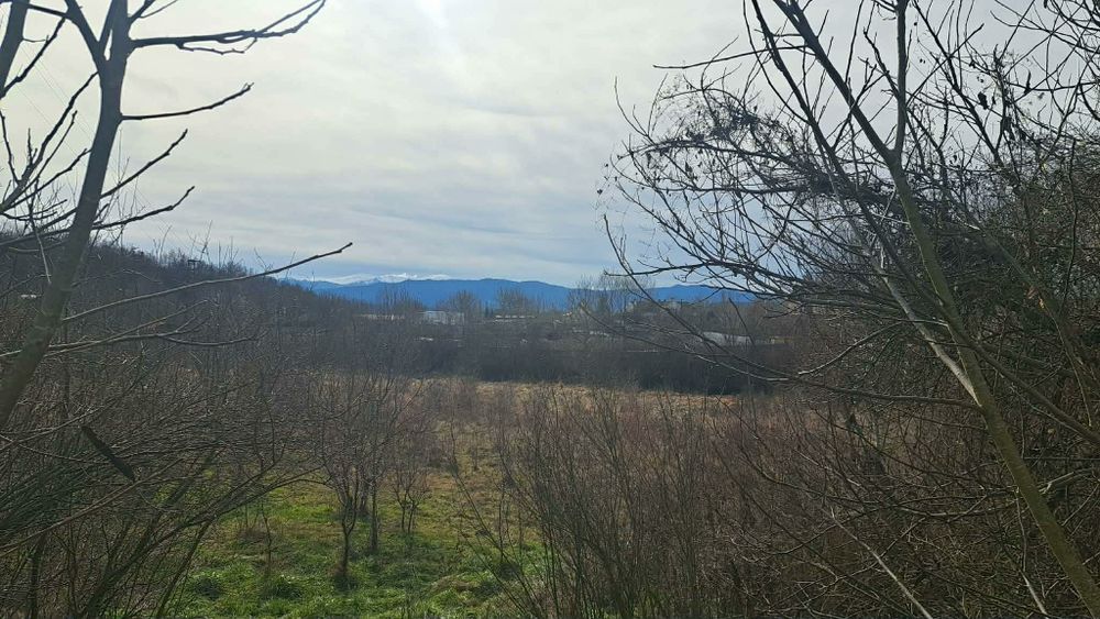 Продава се Парцел в Севлиево - 7885 кв.м за 8 €/кв.м - Снимка #4