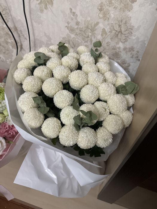 белые красивые цветы