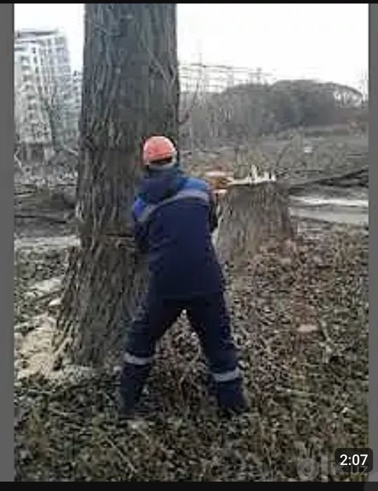 Daraht va o'tinlarni tez va sifatli kesib beramiz