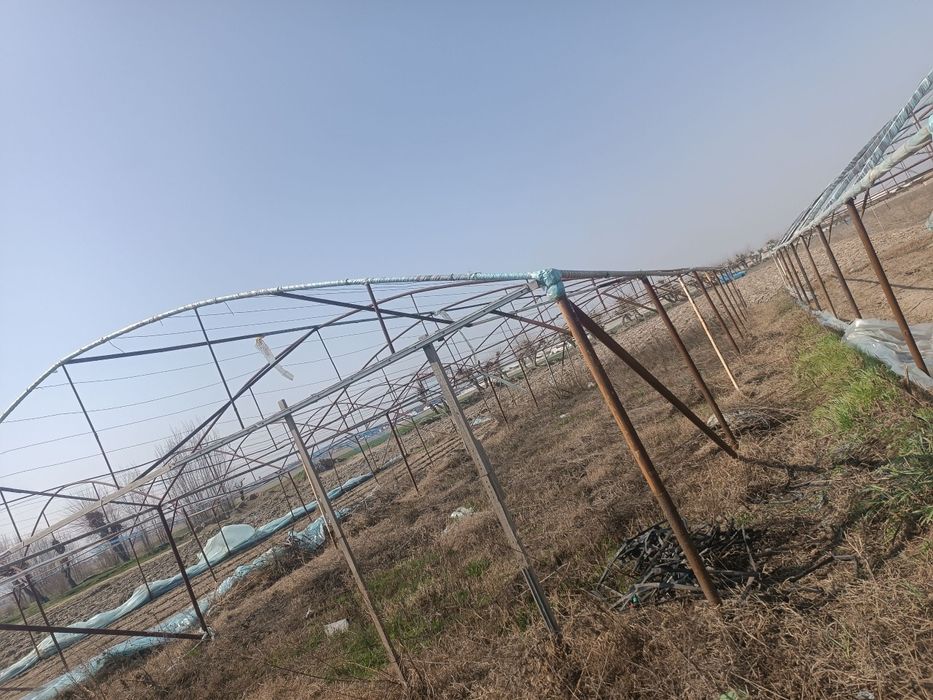 Issiqxona sotiladi faqat klyonkasi yuq boshqa xamma narsani bor