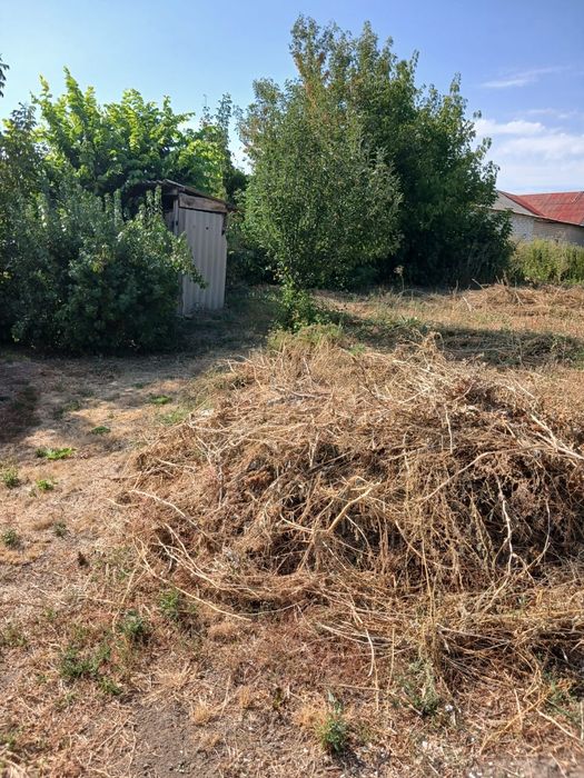 Продают дом и участок
