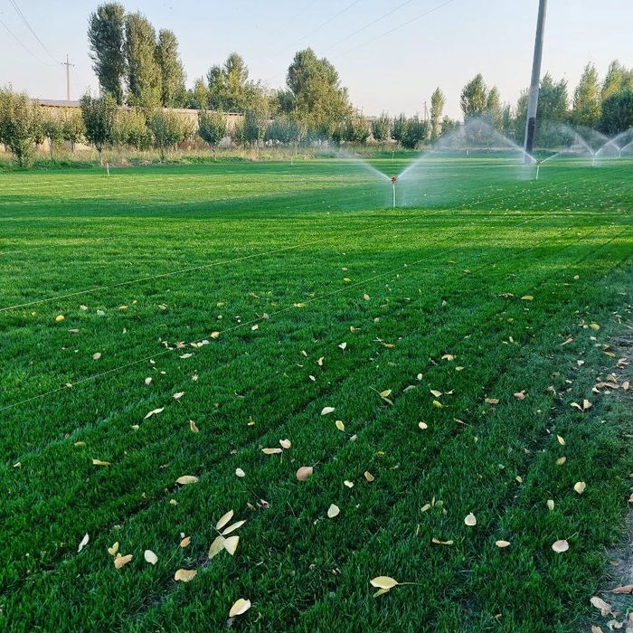 Газон установка за квадрат 25 000