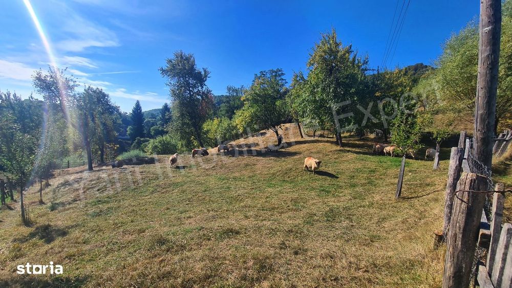 Teren 2264 mp de vânzare în comuna Brăduleț,  județ Argeș.